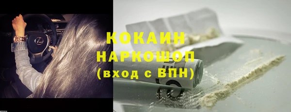 твердый Алексин