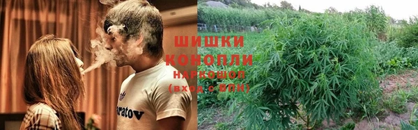 трава Алзамай