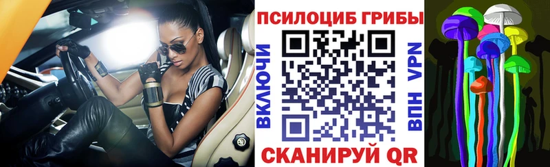 Псилоцибиновые грибы мицелий  Серафимович 